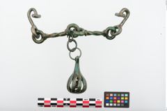 Foto von Bronzetrense (NHMW-PRAE-024293)